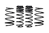 PRO-KIT LOWERING SPRINGS - image 1