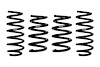 LOWERING SPRINGS SET - image 1