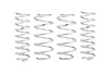PRO-KIT LIFT SPRINGS - image 1