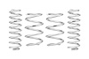 PRO-LIFT KIT SPRINGS - image 1