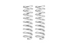 PRO-LIFT FRONT SPRINGS - image 1