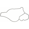WATER PUMP GASKET; 2003-1994 FOI V8 444CI 7.3L Turbo-Diesel DI; 2003-1994 FOT L/D V8 444CI 7.3L Turb