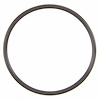 O-RINGS 2005-2001 FOT L4 140 2.3L DOHC VIN D-Ranger VIN H & Z-Escape Escape Hybrid Mariner Water Pump O Ring - image 1