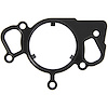 WATER PUMP GASKET 2006-2003 FOR LINC V8 241 3.9L DOHC VIN A Water Pump - image 1