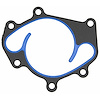 WATER PUMP GASKET 2007-2004 NIT V8 5.6L DOHC VK56DE Water Pump