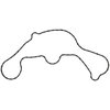 WATER PUMP GASKET