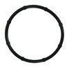 WATER PUMP GASKET