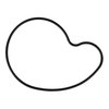 WATER PUMP GASKET