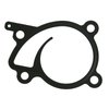 WATER PUMP GASKET