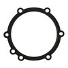 WATER PUMP GASKET