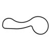 ENG WATER PUMP SEAL