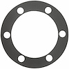 AXLE FLANGE GASKET SPI H/D 6-Bolt - image 1