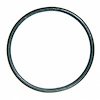 2006-2005 FOR V6 181(3.0L DOHC) VIN1 Five Hundred Montego] (Exhaust Ring) - image 1