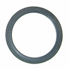 EGR Gasket