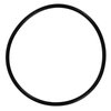 PLENUM O-RING - image 1