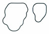 2005-2000 FOT V8 330 (5.4L SOHC) (Water Crossover Set) - image 1