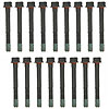 Head Bolt Set Chevrolet/GMC 6.2L/ 6.5L Diesel 1982-2002 - image 1