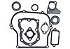 Briggs & Stratton Full Gasket Set Premium Jr dragster/modified - image 1