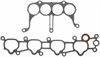 INTAKE MANIFOLD GASKET 1996-1990 HO L4 2156cc 2.2L SOHC 16 Valve - image 1