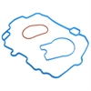 PLENUM GASKET SET 2004-1996 GMT L/D V6 262CI 4.3L Chevrolet 2001-1997 IST L/D V6 262CI 4.3L Chevrolet