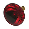 Full Size Tree Red Bulb Replacement Flood Lamp - image 1