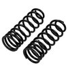 Old Man EMU 2891 Rear Coil Spring Set for 1996-2002 Toyota 4Runner, 2009-2009 Toyota 4Runner, Heavy Load - image 2