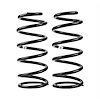 Old Man EMU 2895 Rear Coil Spring Set for 2003-2009 Toyota 4Runner, 2007-2009 Toyota FJ Cruiser, Medium Load - image 1