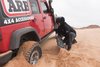 TREDPROR TRED Pro Red Recovery Boards - image 2