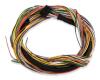 Auxiliary Harness for FuelTech FT400 EFI System [20 ft.] - image 1