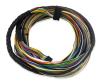 Dyno Extension Auxiliary Harness - image 1