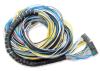 Engine Management Harness Set for FuelTech FT500 EFI System [10 ft.] - image 1