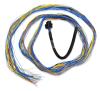 Engine Management Harness Set for FuelTech FT600/FT700 EFI System [10 ft.] - image 1