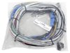 Engine Management Harness Set for FuelTech FT600/FT700 EFI System [20 ft.] - image 3