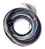 Engine Management "A" Harness for FuelTech FT450, FT550, and FT550LITE EFI Systems [20 ft.] - image 1