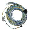 Engine Management "B" Harness for FuelTech FT550 EFI System [10 ft.] - image 1
