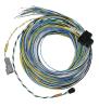 Engine Management "B" Harness for FuelTech FT550 EFI System [20 ft.] - image 1