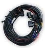 Wideband Oxygen Sensor Harness (6.5 ft.) for Installing 4 FuelTech Nano WB-O2 Wideband O2 Sensor Displays - image 1