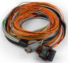 Harness for FT Input Expander - image 1