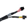2001008771 Oxygen Sensor Harness Fits FuelTech FT700 ECU System [10 ft.] - image 2