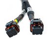 2001008771 Oxygen Sensor Harness Fits FuelTech FT700 ECU System [10 ft.] - image 3