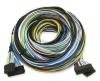 Dyno Extension Harness for FT500 - image 1