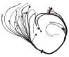 FT450 or FT550 ECU 4 Cylinder "A" Harness