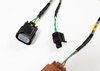 Complete GM Gen III LS Engine Wiring Harness for FuelTech FT550 - image 4