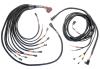 PRO550/600 V8 CDI Module and Coils Harness [Chevy/Chrysler] - image 1