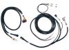 PRO550/600 V8 FTSpark-1 and Coil Harness - image 1