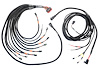 2002110981 PRO550/600 V8 CDI Module and Coils Harness [Ford] - image 1