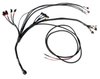 PRO600 Gen II V8 Complete Harness for FT600 [Chevy/Chrysler] - image 2