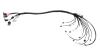 PROBIKE Engine Management Harness "B" for FuelTech FT550 EFI System - image 1