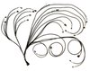 3026110977 PRO600 Gen II V8 Complete Harness for FT600 [Ford] - image 3