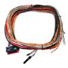 FTSpark-4 High-Energy Capacitive Ignition Module Harness